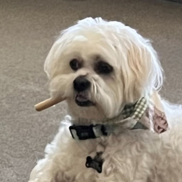 Meet your Posher, Paree - Picture 1 of 1